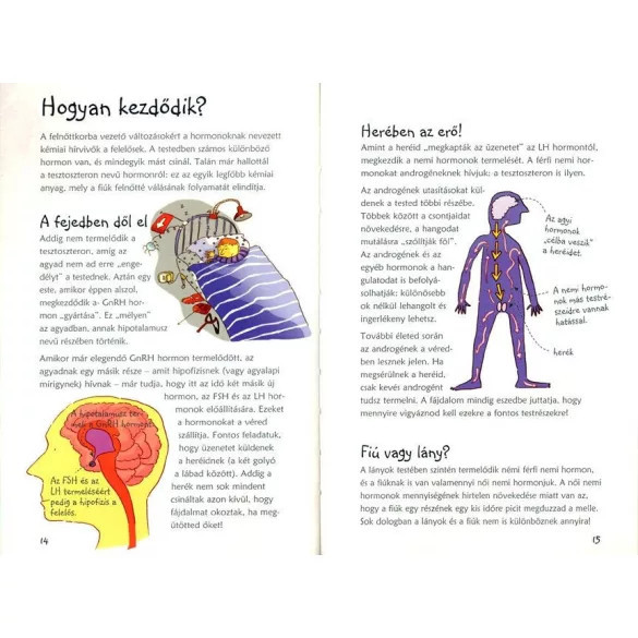 Mi történik velem? (Fiú)