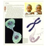 Fedezd fel a világot 2. - A kültakaró, a csontok és az izomrendszer