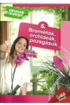 Otthonunk növényei Broméliák, Orchideák, Pozsgások