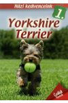 Házi kedvenceink 1. : Yorkshire terrier