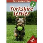 Házi kedvenceink 1. : Yorkshire terrier