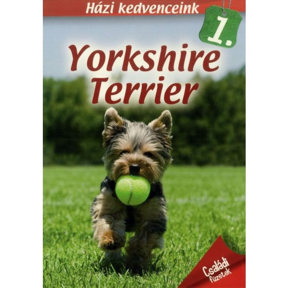 Házi kedvenceink 1. : Yorkshire terrier