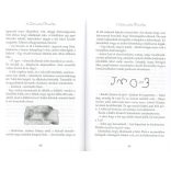 Deltora - A Szörnyeteg Útvesztője