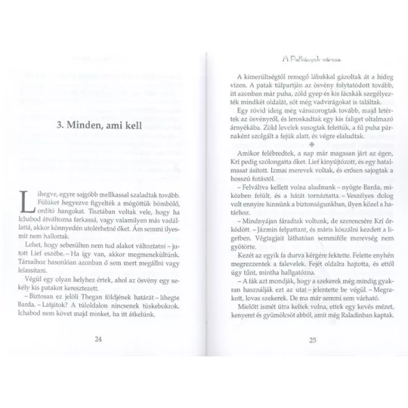 Deltora 3. - A Patkányok Városa