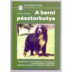 A berni pásztorkutya