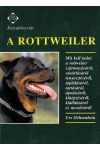 A rottweiler