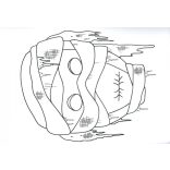 Álarcok gyerekeknek