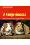 Házi kedvenceink: A tengerimalac