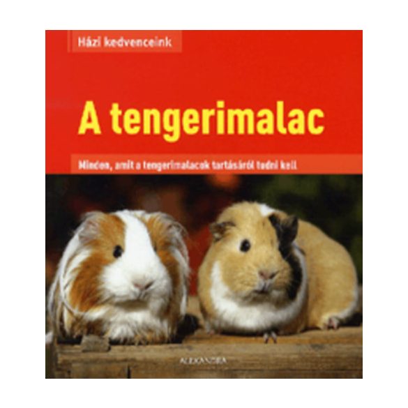 Házi kedvenceink: A tengerimalac
