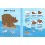 Első kreatív könyvem - Állati móka