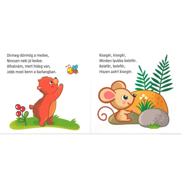 Csigabiga, gyere ki! - Első mondókáskönyvem 2+ (kartonkönyv)