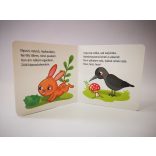 Hová mész te kis nyulacska? 2+ (kartonkönyv)