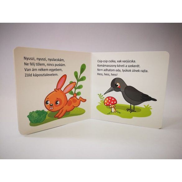 Hová mész te kis nyulacska? 2+ (kartonkönyv)