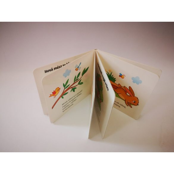 Hová mész te kis nyulacska? 2+ (kartonkönyv)