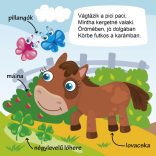 Séta a farmon - szókincsfejlesztő (leporelló)
