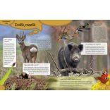 Meghökkentő világ - A természet és a csillagászat csodái 