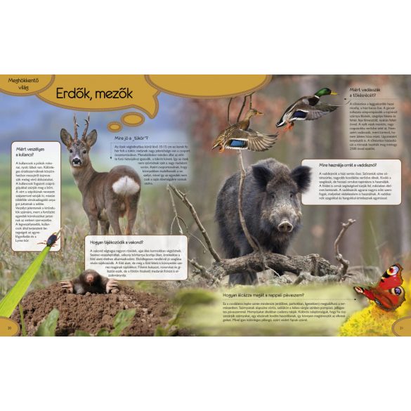 Meghökkentő világ - A természet és a csillagászat csodái 