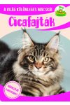 Cicafajták - A világ különleges macskái