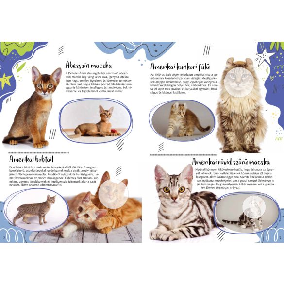 Cicafajták - A világ különleges macskái