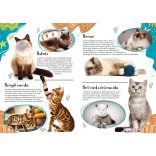 Cicafajták - A világ különleges macskái