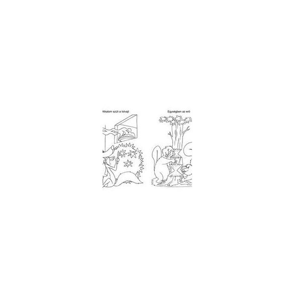 Közmondások kifestője