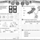Környezetismeret - iskolai gyakorló és tesztfüzet 2. osztály