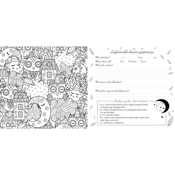 Mágikus képek - álomnapló és kifestő