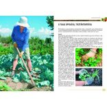 Kertészkedés mindenkinek