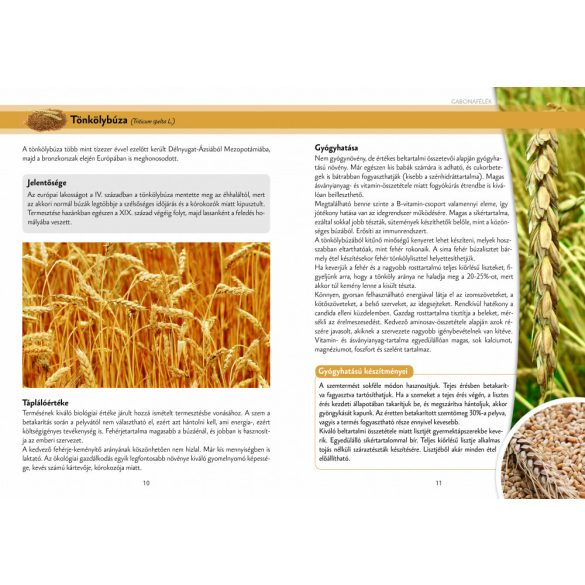 Növények az egészségért