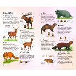 Erdei élővilág - Természetbarátok zsebkönyve