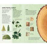 Az erdő fái - Természetbarátok zsebkönyve