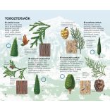 Az erdő fái - Természetbarátok zsebkönyve