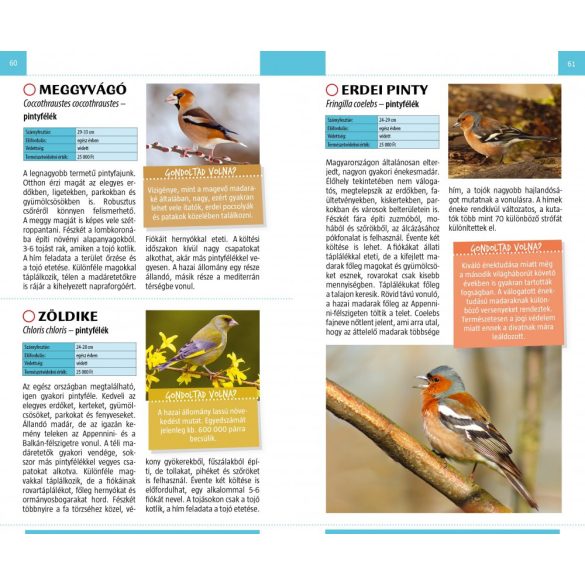 Madarak - Természetbarátok zsebkönyve