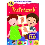   Testrészek - foglalkoztató gyerekeknek (szállítási sérült)
