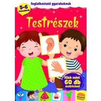   Testrészek - foglalkoztató gyerekeknek (szállítási sérült)