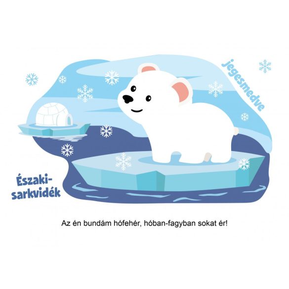 Hol élnek az állatok? (szállítási sérült)