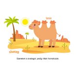 Hol élnek az állatok? (szállítási sérült)