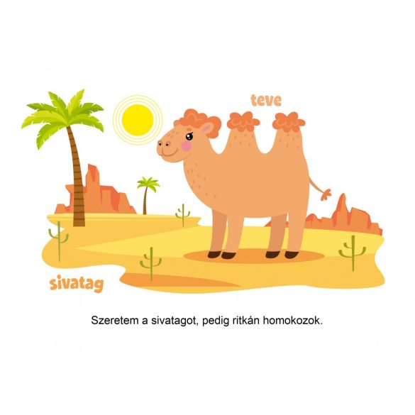 Hol élnek az állatok? (szállítási sérült)