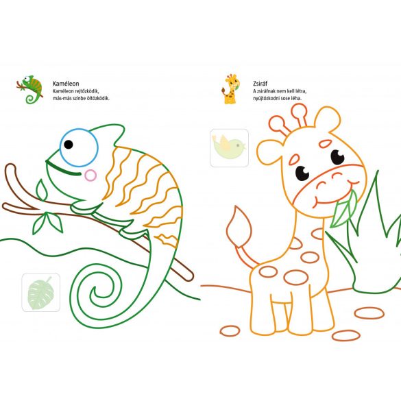 Színes állatkert - Új