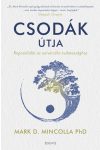 Csodák útja - Kapcsolódás az univerzális tudatossághoz