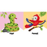 Dzsungel - fürdőskönyv