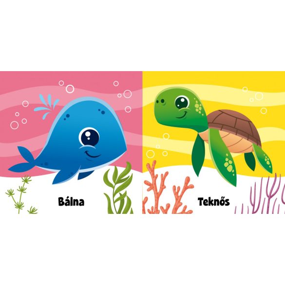 Tengeri cukiságok - fürdőskönyv