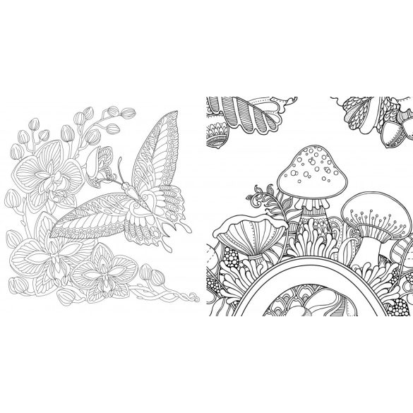 Utazás csodaföldre - színezőkönyv gyerekeknek