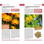 Gyógynövények - Természetbarátok zsebkönyve