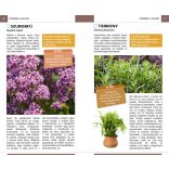 Gyógynövények - Természetbarátok zsebkönyve