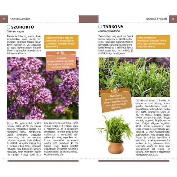 Gyógynövények - Természetbarátok zsebkönyve