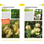 Termések - Természetbarátok zsebkönyve