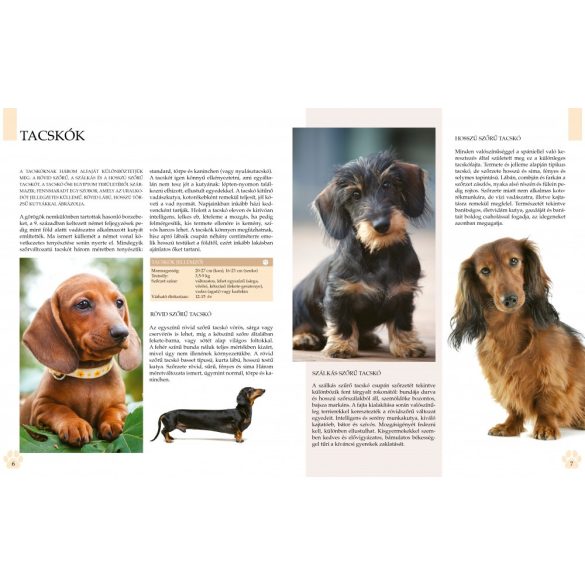 Legjobb barátaink a kutyák - 51 kutyafajta bemutatása (szállítási sérült)