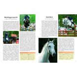 A világ legszebb lovai - 22 lófajta bemutatása