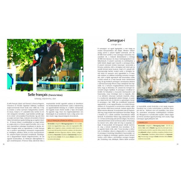 A világ legszebb lovai - 22 lófajta bemutatása